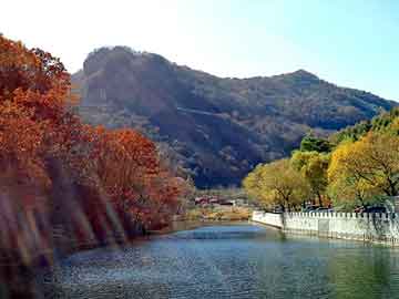 澳门今晚一肖必中特，除油器